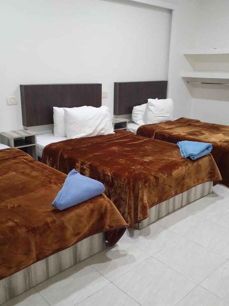 Saraya Awad Hegazi Street- Families Only Apartment Alexandria Exterior photo
